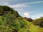 Sítio / Chácara para Venda em Antonina/PR Zona Rural 5...
