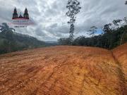 Sítio / Chácara para Venda em Antônio Carlos/SC Zona Rural