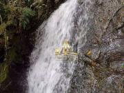 Sítio / Chácara para Venda em Apiaí/SP Jardim Brasilia