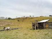 Sítio / Chácara para Venda em Araçariguama/SP Centro 2...