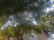 Sítio / Chácara para Venda em Araçoiaba da Serra/SP...