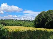 Sítio / Chácara para Venda em Araucária/PR Campina das...