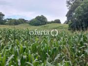 Sítio / Chácara para Venda em Araucária/PR Zona Rural