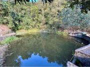 Sítio / Chácara para Venda em Atibaia/SP Jardim Paraíso...