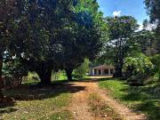 Sítio / Chácara para Venda em Atibaia/SP Ponte Alta 4...