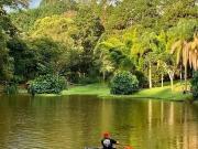 Sítio / Chácara para Venda em Atibaia/SP Portão 13 Quartos
