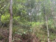 Sítio / Chácara para Venda em Atibaia/SP Vila Thais