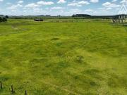 Sítio / Chácara para Venda em Balsa Nova/PR São Luiz do...