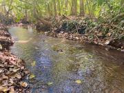 Sítio / Chácara para Venda em Bela Vista de Goiás/GO Centro