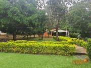 Sítio / Chácara para Venda em Bela Vista de Goiás/GO...