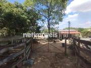 Sítio / Chácara para Venda em Betim/MG Bandeirinhas