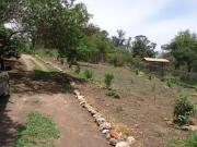 Sítio / Chácara para Venda em Betim/MG Vianópolis 3 Quartos