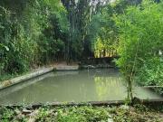 Sítio / Chácara para Venda em Biritiba Mirim/SP Jardim...