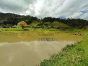 Sítio / Chácara para Venda em Blumenau/SC Vila Itoupava...