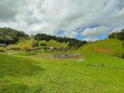 Sítio / Chácara para Venda em Blumenau/SC Vila Itoupava...
