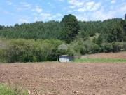 Sítio / Chácara para Venda em Bocaiúva do Sul/PR Centro...