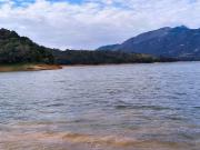 Sítio / Chácara para Venda em Bocaiúva do Sul/PR Centro