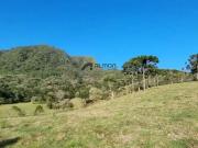 Sítio / Chácara para Venda em Bom Retiro/SC Centro