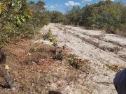 Sítio / Chácara para Venda em Bonito de Minas/MG Zona Rural