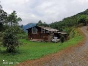 Sítio / Chácara para Venda em Botuverá/SC Lageado 1 Quartos