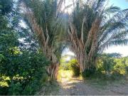 Sítio / Chácara para Venda em Bragança Paulista/SP...