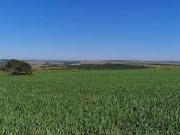 Sítio / Chácara para Venda em Brasília/DF Área Rural do...