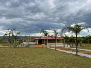 Sítio / Chácara para Venda em Brasília/DF Brazlândia