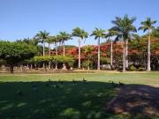 Sítio / Chácara para Venda em Brasília/DF Ponte Alta...