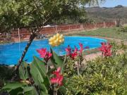 Sítio / Chácara para Venda em Brazlândia/DF Zona Rural 4...