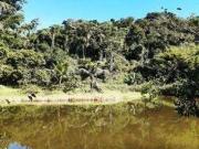 Sítio / Chácara para Venda em Cachoeiras de Macacu/RJ...