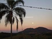 Sítio / Chácara para Venda em Caconde/SP Centro 1 Quartos