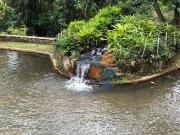 Sítio / Chácara para Venda em Caeté/MG Quintas Da Serra...