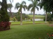Sítio / Chácara para Venda em Cajuru/SP Zona Rural