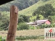 Sítio / Chácara para Venda em Caldas/MG Centro 4 Quartos