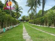 Sítio / Chácara para Venda em Camaçari/BA Barra do...