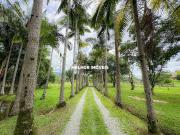 Sítio / Chácara para Venda em Camboriú/SC Área Rural de...