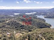 Sítio / Chácara para Venda em Quitandinha/PR Ribeirão...