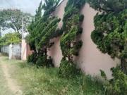 Sítio / Chácara para Venda em Campinas/SP Jardim São...