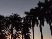 Sítio / Chácara para Venda em Campinas/SP Sousas 3 Quartos