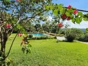 Sítio / Chácara para Venda em Campinas/SP Sousas 7 Quartos