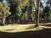 Sítio / Chácara para Venda em Campo Alegre/SC Avenquinha...