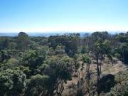 Sítio / Chácara para Venda em Campo Alegre/SC Centro