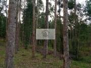 Sítio / Chácara para Venda em Campo Alegre/SC Centro 2...