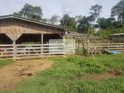 Sítio / Chácara para Venda em Campo Alegre/SC Centro 3...