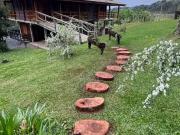 Sítio / Chácara para Venda em Campo Alegre/SC Salto do...