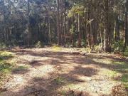 Sítio / Chácara para Venda em Campo Alegre/SC Zona Rural...