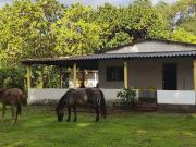 Sítio / Chácara para Venda em Campo Grande/MS Água Limpa...