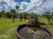 Sítio / Chácara para Venda em Campo Grande/MS Zona Rural...