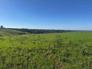 Sítio / Chácara para Venda em Campo Largo/PR Colônia...