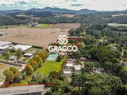 Sítio / Chácara para Venda em Campo Largo/PR Fazendinha...